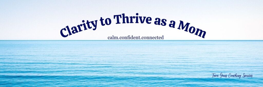 Ocean banner with the text “Clarity to Thrive as a Mom” for parenting coaching services